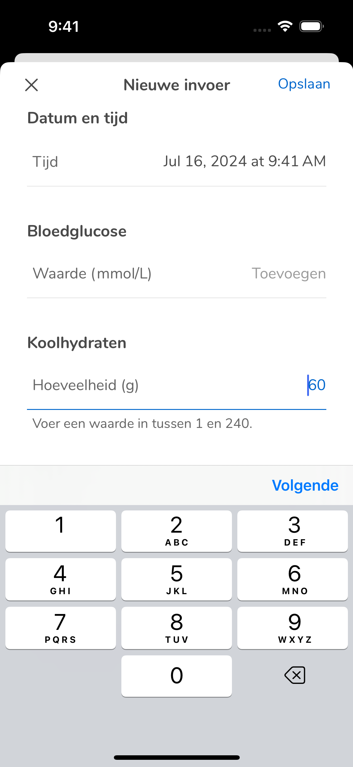 AddEntry_AddValues InputDiaryEmpty_Mmoll